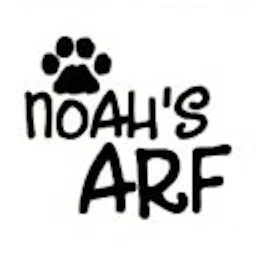 Noah's Arf のアイコン